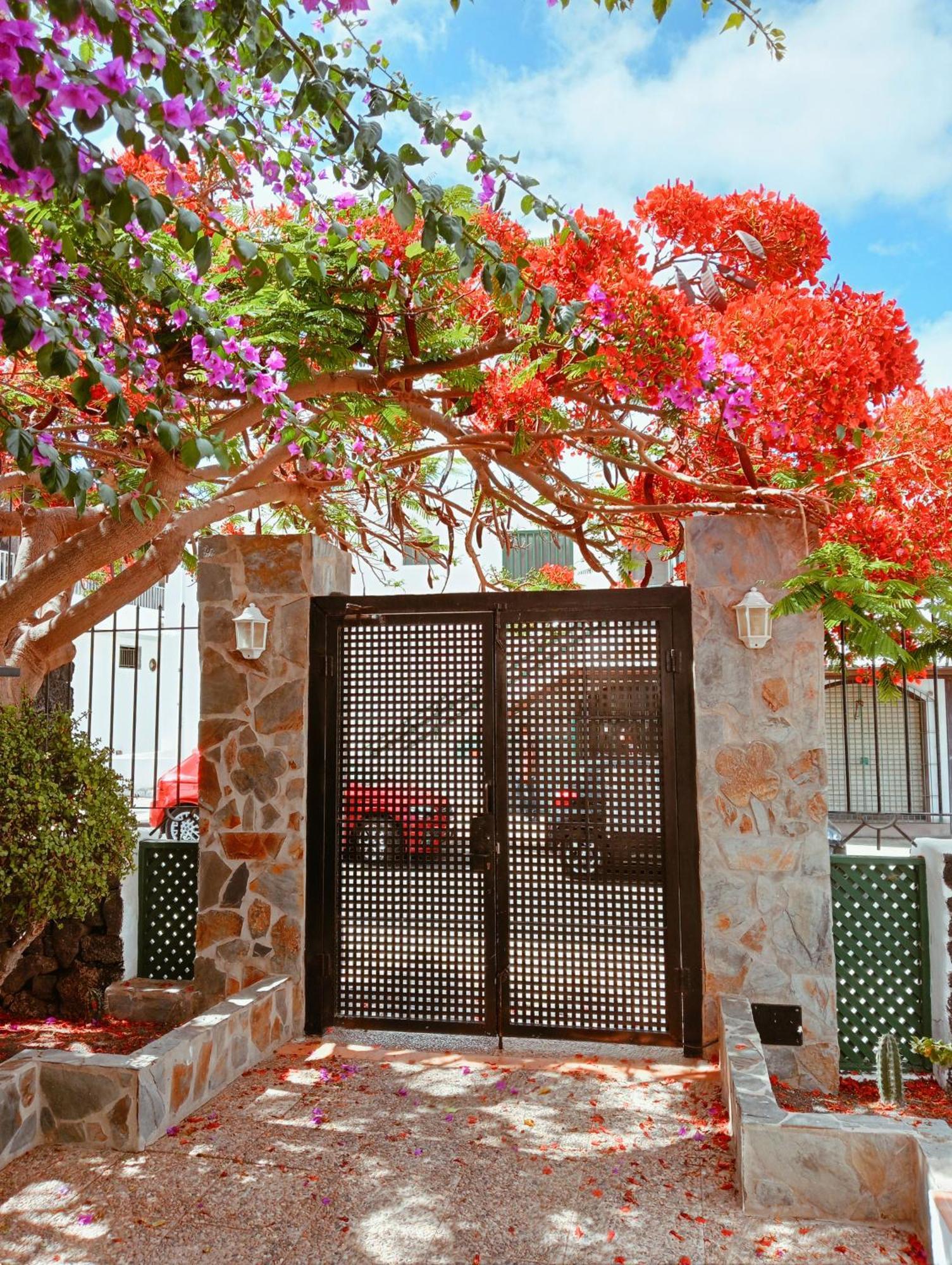 Apartamentos Las Acacias بويرتو ذيل كارمين المظهر الخارجي الصورة